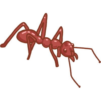 a red leaf cutter ant